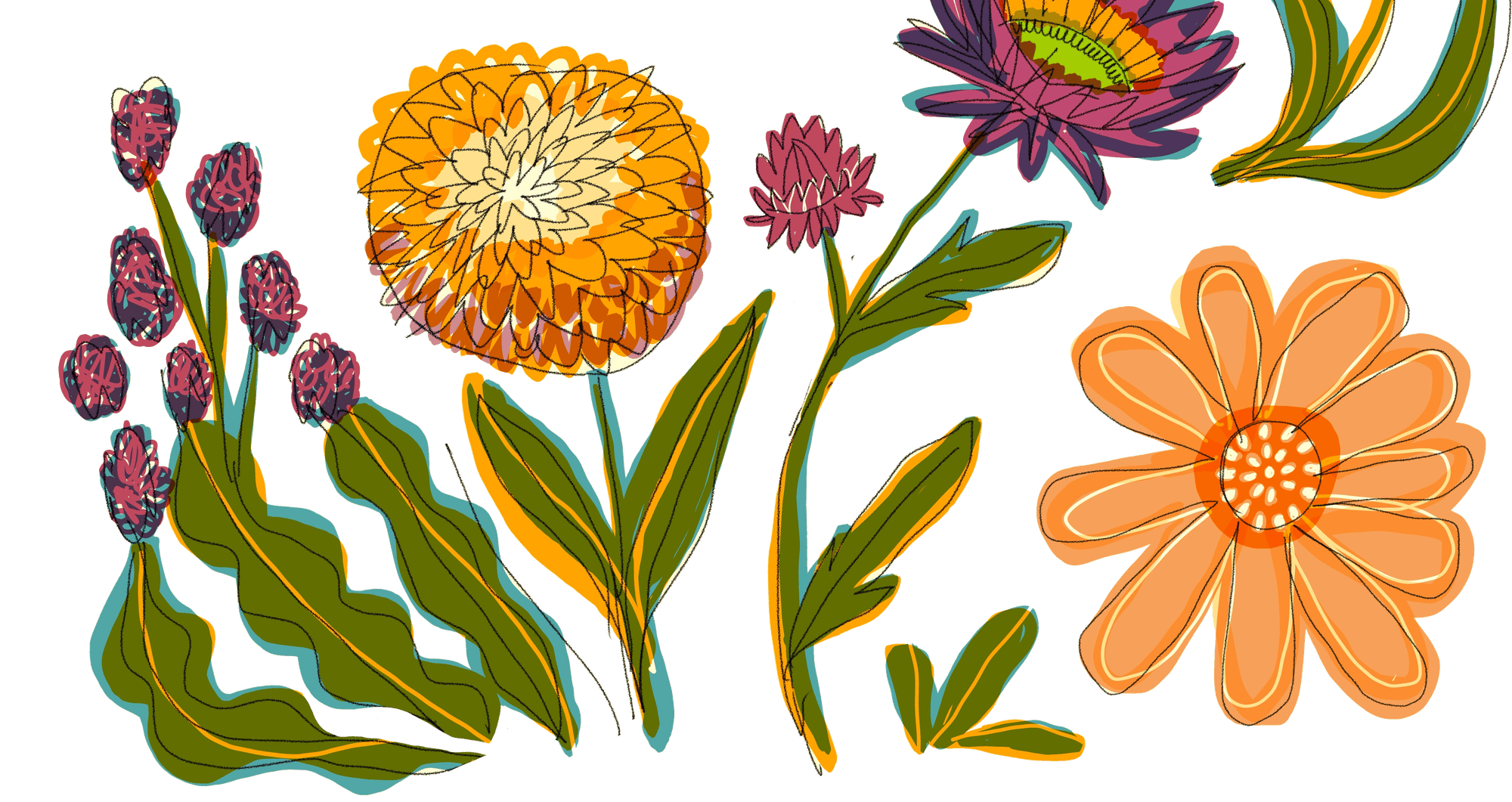 Illustrated band of marigolds, daisies, an aster, clover, and lavender sprigs from the summit poster, in orange, coral, magenta, and green.